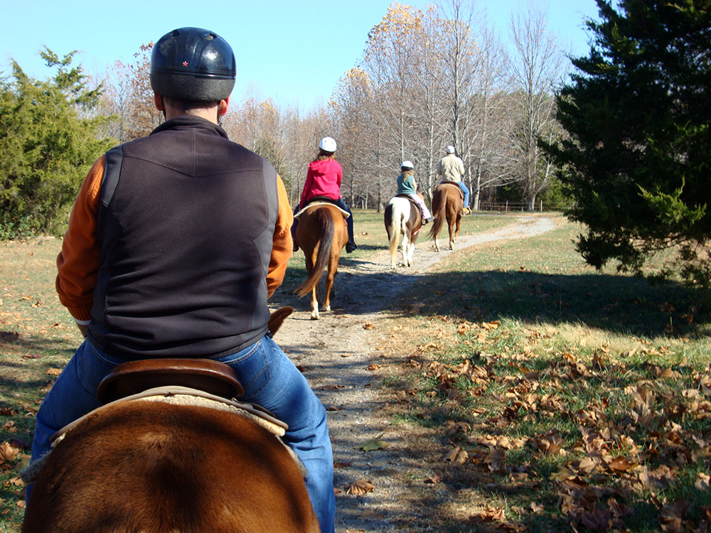 People horseback riding on a trail