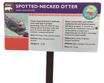 Information sign for a spotted-neck otter