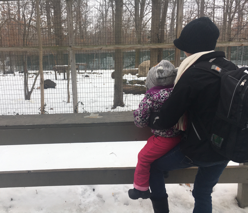 A mother and daughter looking at a zoo exhibit.