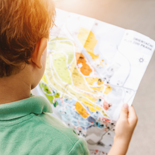 Child looking at a map