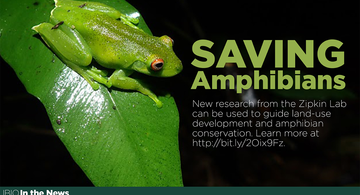 TV display slide about saving amphibians.