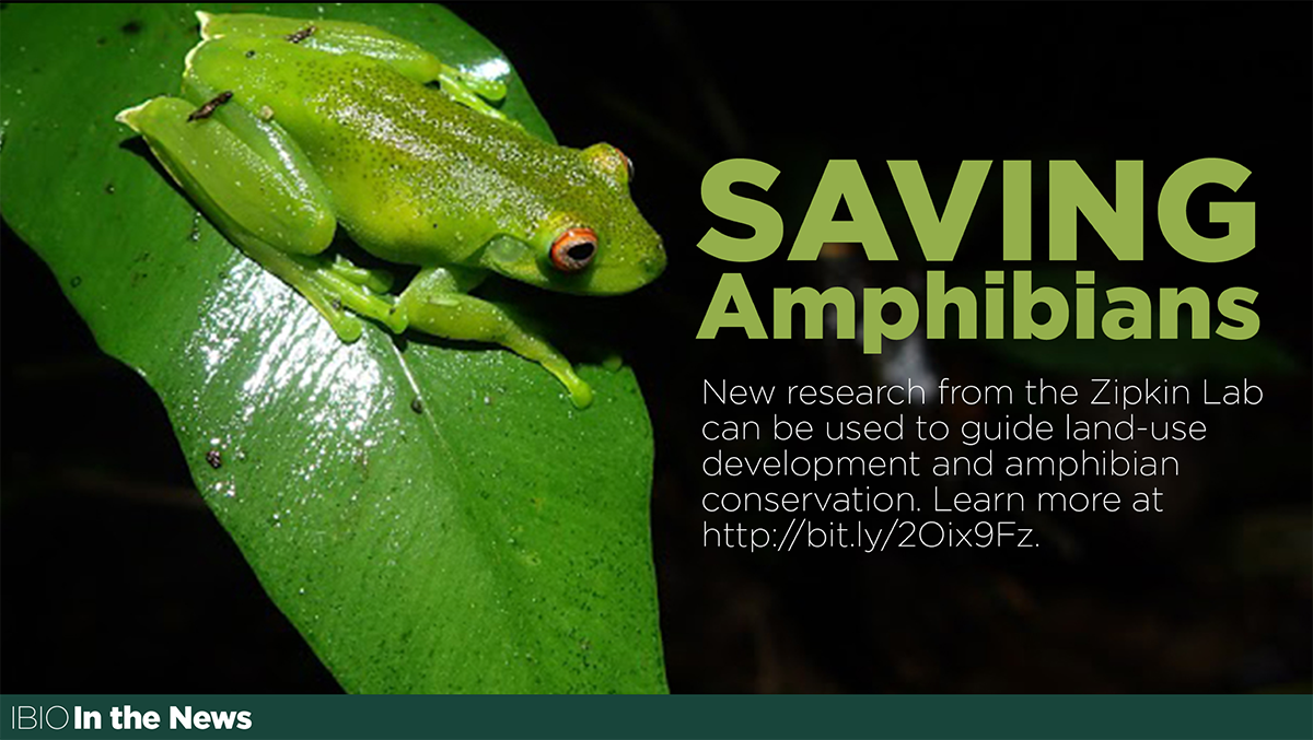 TV display slide about saving amphibians.