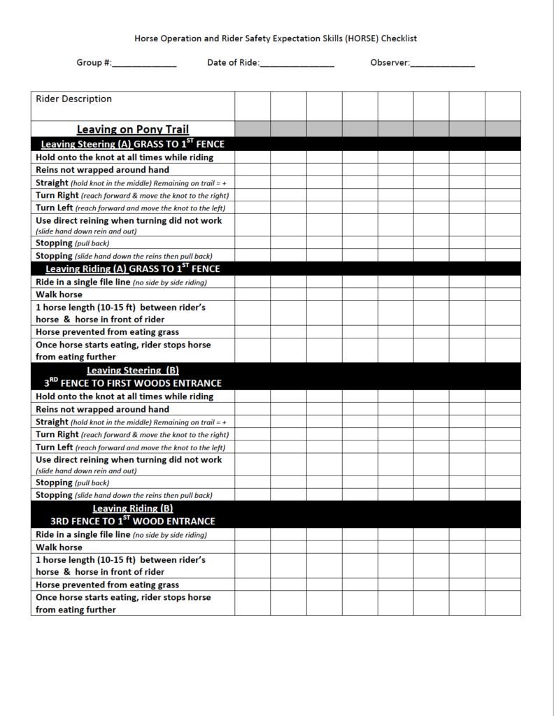 Beginning of Ride Task Analysis